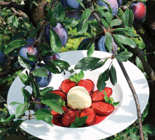 in-riva-al-grande-fiume-coronaro_ricetta