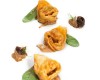 Tortelli fritti di farina di mais Biancoperla