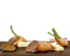 Ricciola appena scottata, tartufo estivo, stracciatella e fiori di begonia