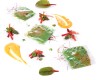 Ravioli trasparenti ripieni di asparagi verdi “Montine”